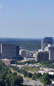 Reston Town Center